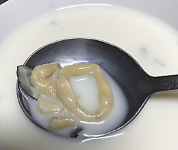 牛奶炖花胶的做法