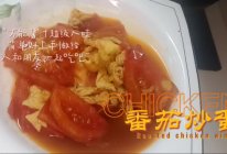 #忽而夏至 清凉一夏#番茄炒蛋的做法