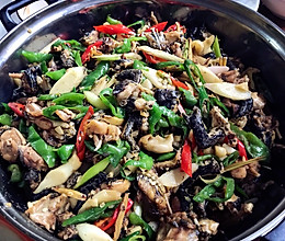 子姜田鸡的做法