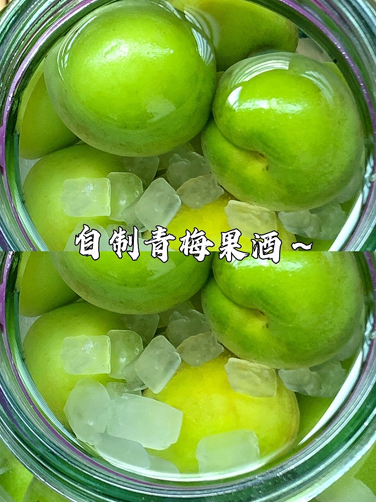 自制青梅酒留下春天的味道！一年一次的青梅泡酒开始了！的做法