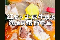 一步到胃✅牛骨清汤番茄牛腩的做法