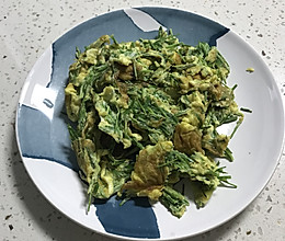 小麦草炒蛋的做法