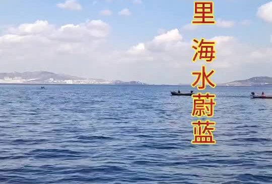 蛤肉馄饨的做法
