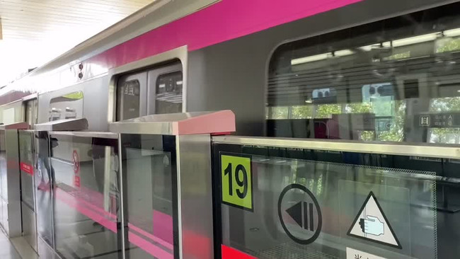 焖烧鸡爪的做法