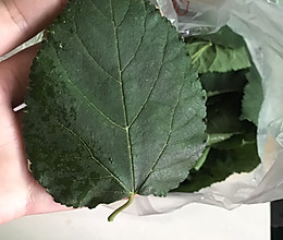 猪肺桑叶汤的做法