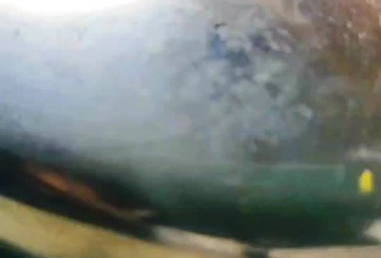 奶香南瓜饼的做法
