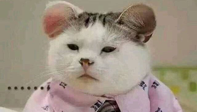 大头菜猪肉炒粉的做法