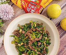 #做川菜用豪吉#香菜炒牛肉的做法