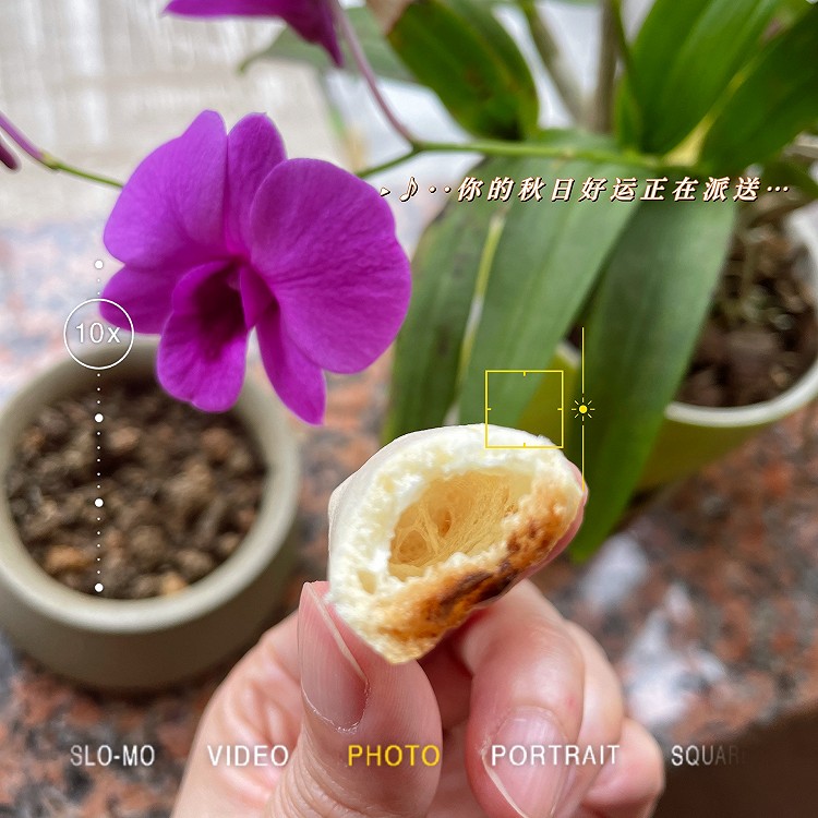 大米小零食-消耗米饭的方法的做法