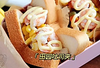 #肉食主义狂欢#田园吐司夹，野餐也要大口吃肉的做法