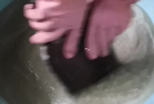 [年俗]  •  磨魔芋的做法