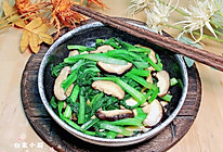 蚝油香菇菜心#李锦记旧庄蚝油鲜蚝鲜煮#的做法