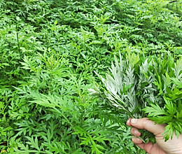 艾叶糍粑的做法