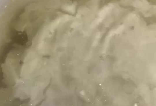 清炖瘦肉水的做法