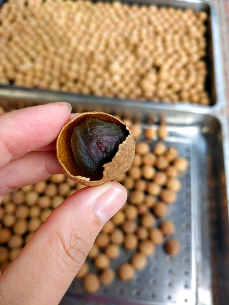 晒龙眼干的做法