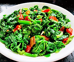 素炒南瓜叶的做法
