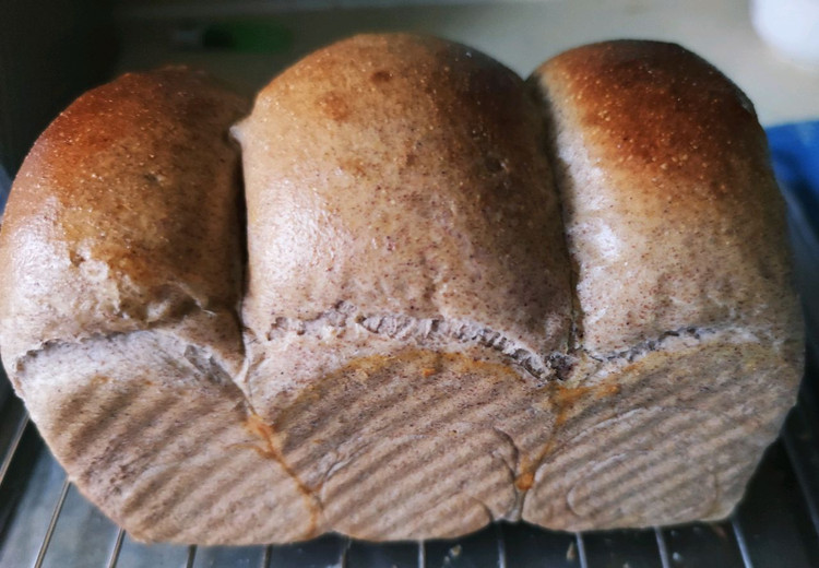 黑金全麦吐司（手揉版，低糖低油，减肥佳品）的做法