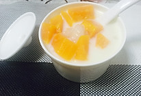 木瓜牛奶炖雪蛤的做法