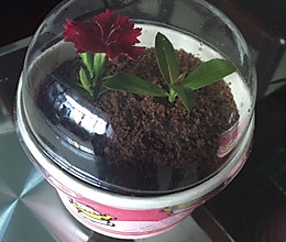 盆栽酸奶的做法