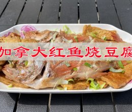 #我家乡的酱油美食#  加拿大红鱼烧豆腐的做法