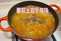 番茄土豆牛尾汤的做法