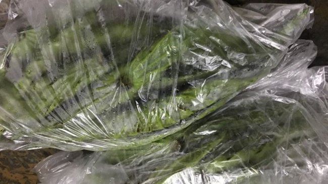 嫩荷叶角的保存的做法