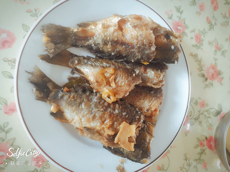 范县糟鱼的做法