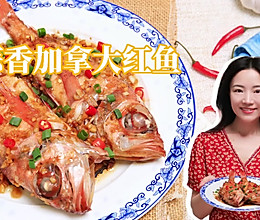 蒜香加拿大红鱼的做法