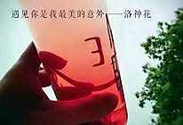 洛神花的做法
