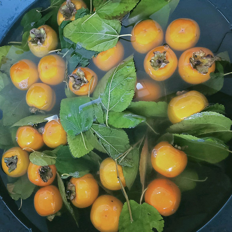 自制脆柿子的做法