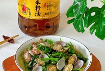 蛤蜊萝卜缨的做法