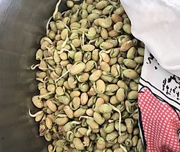 东北生豆芽大法的做法