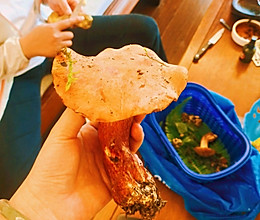 云南野生菌宴席～青椒火腿见手青的做法