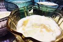 花胶炖奶的做法