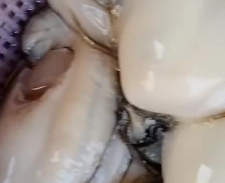 可口美味的做法