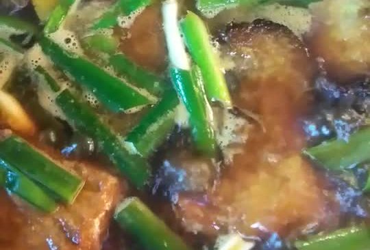 鲜美哒红烧鳎目鱼～的做法