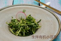《高阶菜谱》生拌有机小豆苗的做法