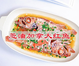 #冬日治愈时刻#葱油加拿大红鱼的做法