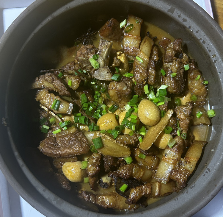 红烧山猪肉的做法