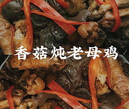 香菇炖老母鸡(珐琅锅)的做法