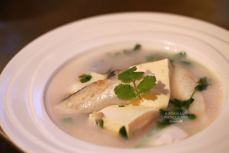 【三文鱼头豆腐汤】又美容又健康的做法