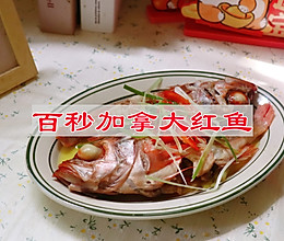 #年在一起 鲜才够味# 百秒加拿大红鱼的做法