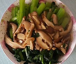 香菇菜心的做法