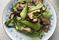 快手香菇油菜的做法