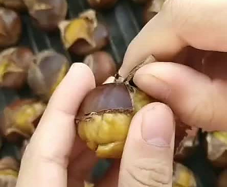 电饼铛板栗的做法