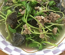 上汤黑豆苗的做法