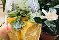 蜂蜜柠檬薄荷饮#美白又解渴#的做法