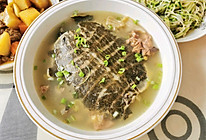 #中秋团圆食味#山东的猴头菇甲鱼汤的做法
