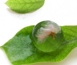 最省钱版水信玄饼的做法