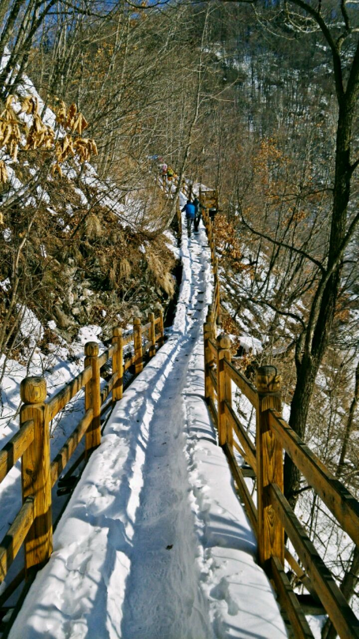 白雪皑皑，乡情郁郁(持续更新)图1